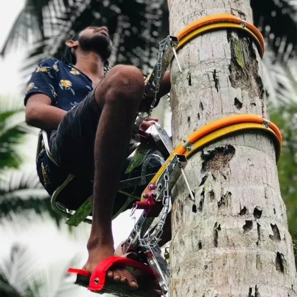 Coconut Tree Climbing Tool - Image 3