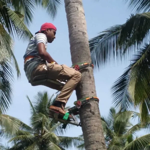Coconut Tree Climbing Tool - Image 4