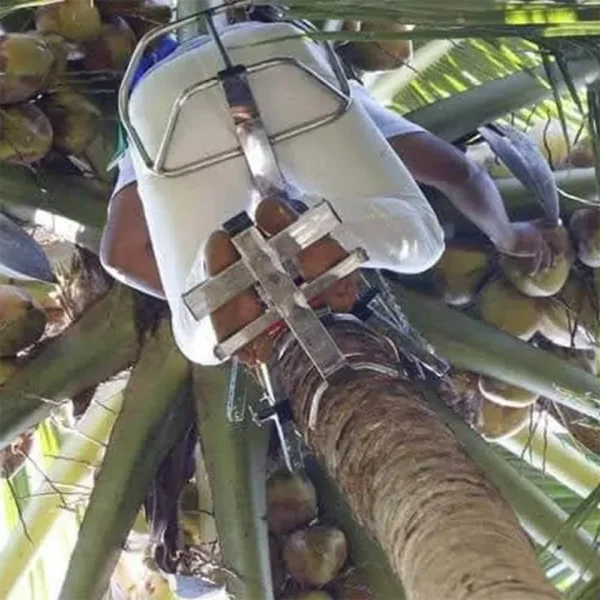 Coconut Tree Climbing Tool - Image 6