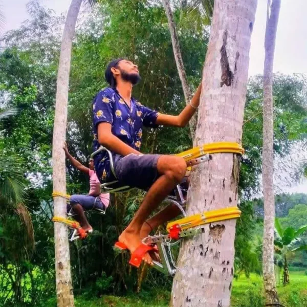 Coconut Tree Climbing Tool