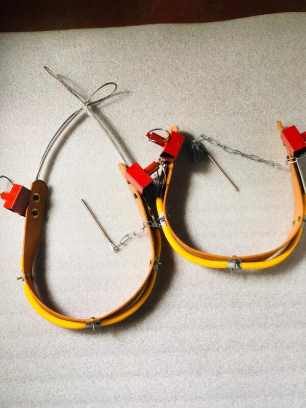 Belt Pair for Coconut Tree Climbing Tool - Image 2