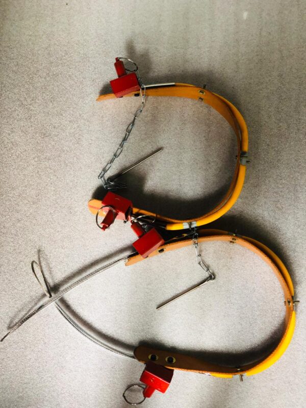 Belt Pair for Coconut Tree Climbing Tool - Image 3