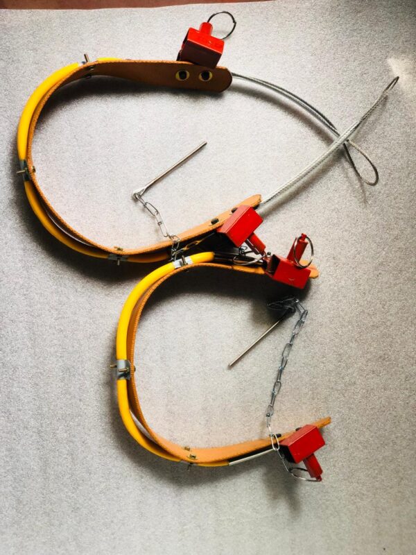 Belt Pair for Coconut Tree Climbing Tool